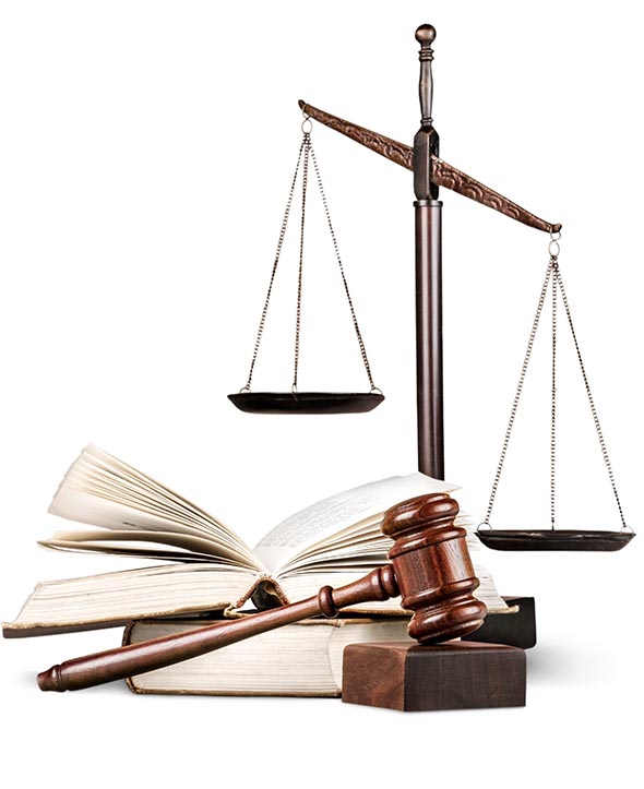 Positionnement Google d’un site web avocats